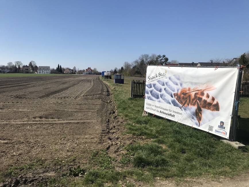 Der Acker ist bereit für die Aussaat Wiese Snack Bee