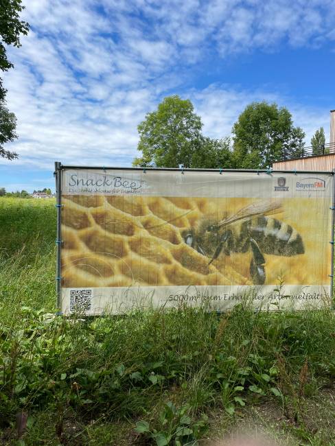 Snack Bee
